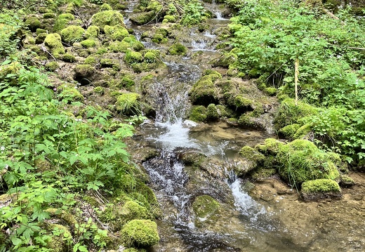 23-05-26 15-53-36 5714